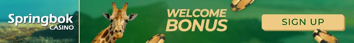 South African online casinos